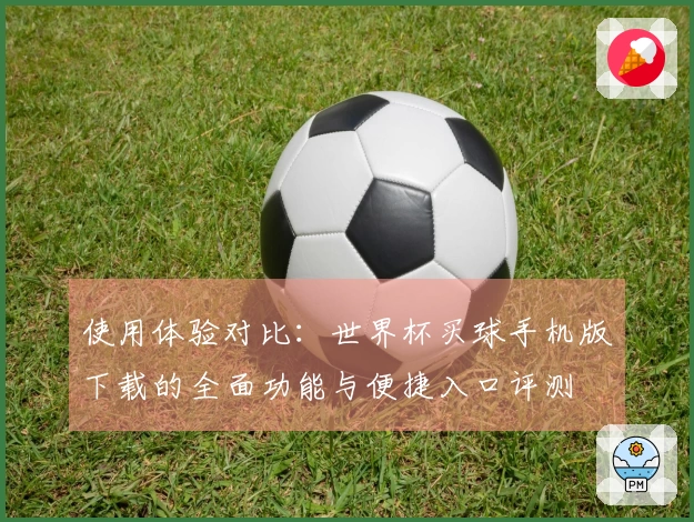 使用体验对比：世界杯买球手机版下载的全面功能与便捷入口评测