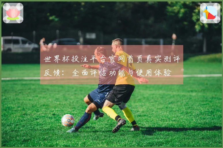 世界杯投注平台官网首页真实测评反馈：全面评估功能与使用体验
