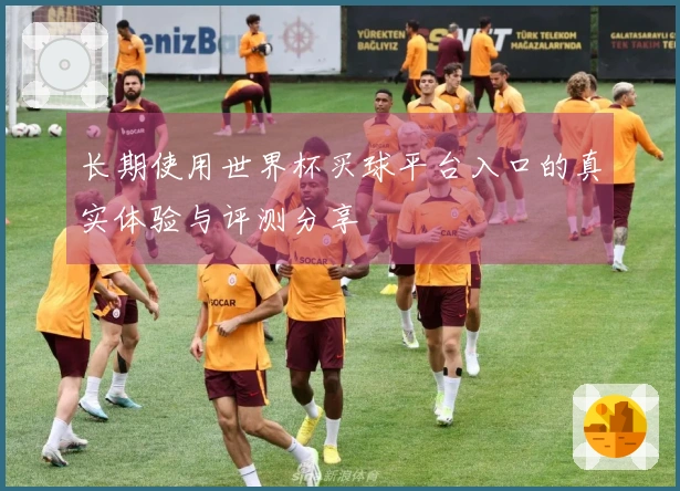 长期使用世界杯买球平台入口的真实体验与评测分享