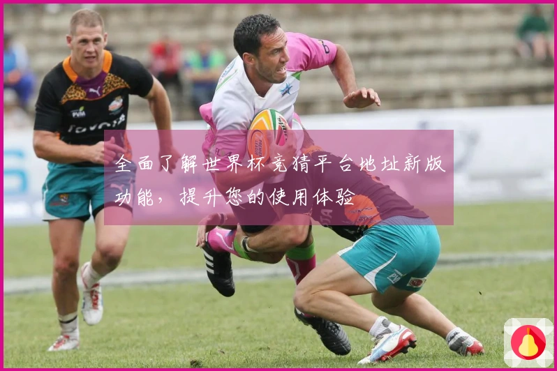 全面了解世界杯竞猜平台地址新版功能，提升您的使用体验