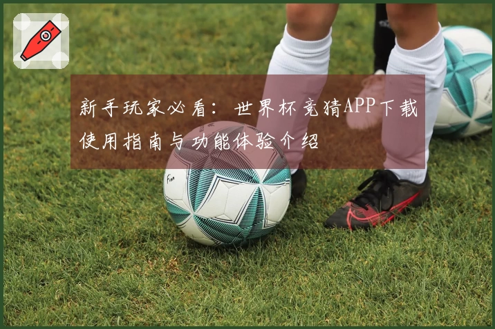 新手玩家必看：世界杯竞猜APP下载使用指南与功能体验介绍
