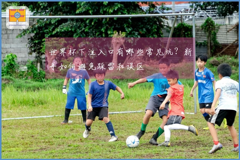 世界杯下注入口有哪些常见坑？新手如何避免踩雷和误区