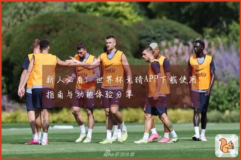 新人必看：世界杯竞猜APP下载使用指南与功能体验分享
