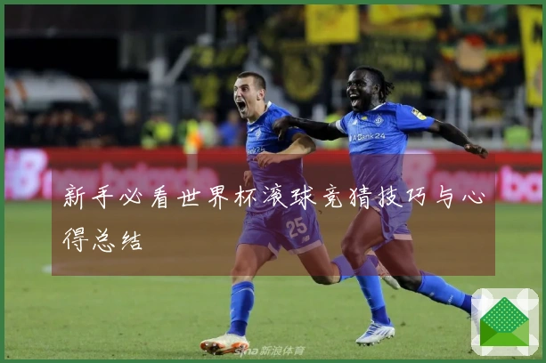 新手必看世界杯滚球竞猜技巧与心得总结
