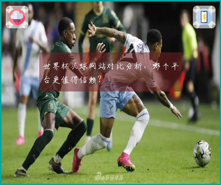 世界杯买球网站对比分析，哪个平台更值得信赖？