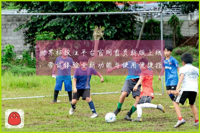 世界杯投注平台官网首页新版上线，带你体验全新功能与使用便捷指南