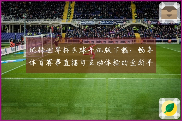 玩转世界杯买球手机版下载，畅享体育赛事直播与互动体验的全新平台！