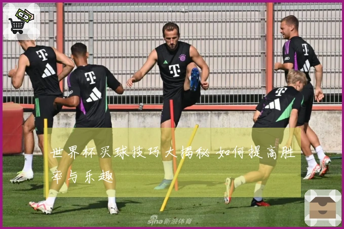 世界杯买球技巧大揭秘 如何提高胜率与乐趣