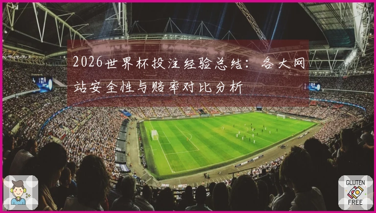 2026世界杯投注经验总结：各大网站安全性与赔率对比分析