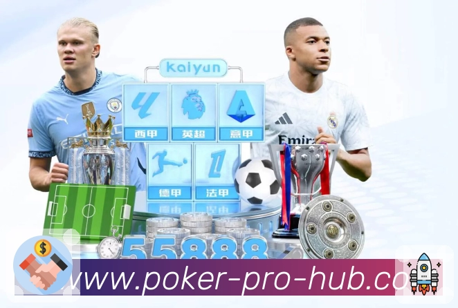 主流体育直播服务